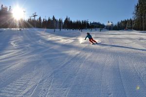 une personne fait du ski sur une piste enneigée dans l'établissement Wellness hotel Sauna, à Malá Morávka