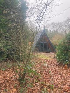 Puutarhaa majoituspaikan A-huis in het bos van Drenthe ulkopuolella