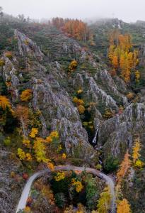 曼泰加什Casa das Faias - Serra da Estrela的山边的一条有树木的道路