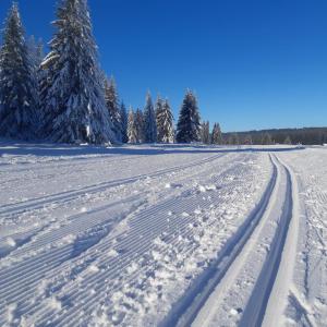 ein schneebedecktes Feld mit Bäumen im Hintergrund in der Unterkunft Apartmány Karolína - Kašperské Hory in Kašperské Hory