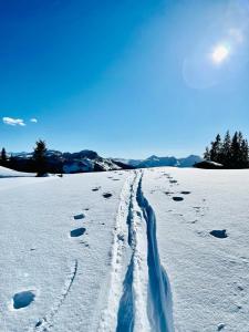 a snow covered field with footprints in the snow at Freiraum 9 Living Apartment in Sankt Johann im Pongau