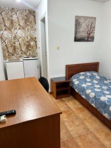 1 dormitorio con escritorio y 1 cama en una habitación en Apartments Jankovic, en Podgorica