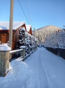 タターリウにあるSadyba Yalivetsの柵付きの家の横の雪道