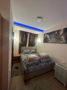 - une chambre avec 2 lits et un plafond bleu dans l'établissement Sobe & apartmani " Ljupče ", à Jošanička Banja