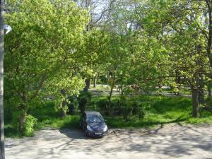 A garden outside Central Park Family Hotel