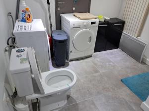 een badkamer met een toilet en een wasmachine bij Appartement de vacances in Illkirch-Graffenstaden