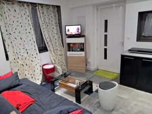 een woonkamer met een bed en een televisie bij Appartement de vacances in Illkirch-Graffenstaden