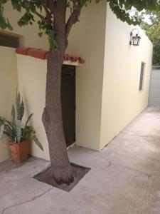 un árbol frente a un edificio con garaje en El Tonel, en Cafayate