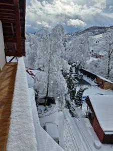 uma varanda com árvores cobertas de neve e uma montanha em Rare Forest Retreat em Bran