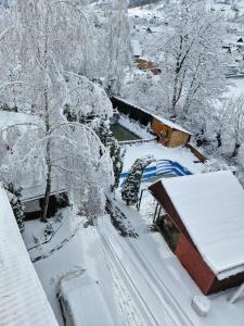 um quintal coberto de neve com árvores e uma casa em Rare Forest Retreat em Bran