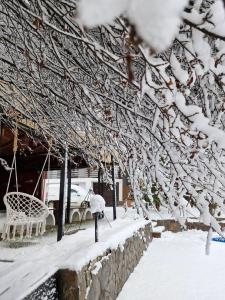 uma árvore coberta de neve num quintal com um banco em Rare Forest Retreat em Bran