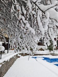 uma árvore coberta de neve ao lado de um lago em Rare Forest Retreat em Bran