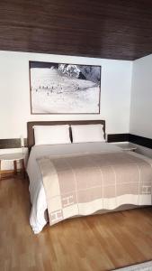 1 dormitorio con 1 cama con una foto en la pared en Sankt Moritz Suite, en St. Moritz