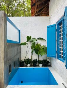 una finestra blu con piante in vaso su un muro di Liv Inn Iyra - Boutique Stay a Varkala