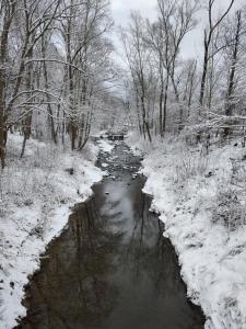 een rivier met sneeuw op de grond en bomen bij Domek Pocieszna Podkowa in Rabka-Zdroj