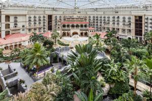 Сад в Gaylord Palms Resort & Convention Center