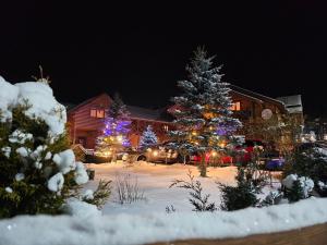 Guesthouse Kolo Druziv að vetri til