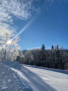 Une route enneigée avec des arbres et un ciel bleu dans l'établissement Duszek Lasu, à Brenna