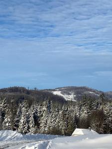 Une colline enneigée avec des arbres et de la neige dans l'établissement Duszek Lasu, à Brenna