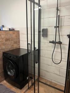 a washing machine in a bathroom with a shower at IQ Apartments in Prešov