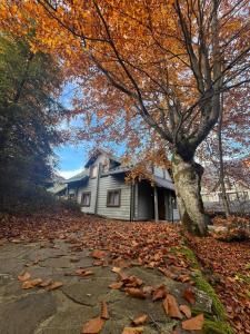 ein Haus mit einem Baum und Blätter auf dem Boden in der Unterkunft Yellow House in Pilipets