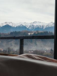 a view of snow covered mountains from a window at Touch the Sky in Moieciu de Jos