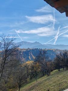 a view of a canyon with trees and mountains at Touch the Sky in Moieciu de Jos