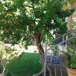 A garden outside Anna Rita Alghero B&B