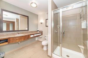 e bagno con doccia, servizi igienici e lavandino. di Hilton Garden Inn Closest Foxwoods a Preston