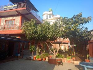 budynek z drzewem przed nim w obiekcie Pokhara Metro Eco Hotel w mieście Pokhara