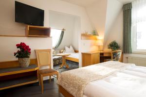 Camera con letto e TV di Hotel Heinz a Plauen