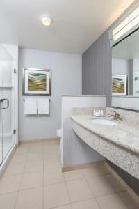 a bathroom with a sink and a toilet and a mirror at Courtyard by Marriott Kalamazoo Portage in Portage