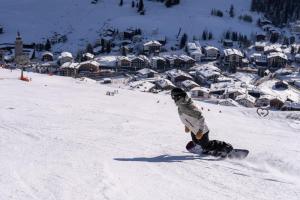 Objekt Hotel Burgwald - Ski In & Ski Out zimi