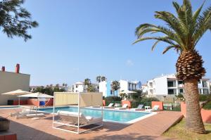 basen z palmami i leżakami w obiekcie Sant Joan Apartaments - Adults Only w mieście Cala en Blanes