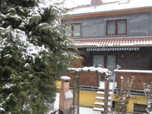 a house with a snow covered tree in front of it at Ferienhaus Schulze in Schierke