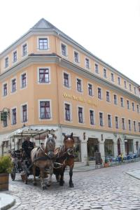 Djur på hotellet eller i närheten