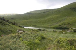 une colline verdoyante avec une rivière au milieu dans l'établissement Hotel Forward Pool&Sauna, à Yasinya