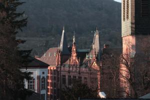 a group of buildings with spires in a city at Altstadtblick in Heidelberg