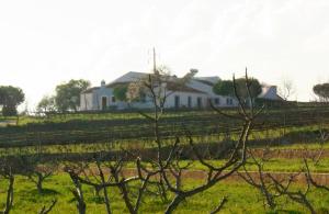 Casas na Vinha - Monte da Casteleja, Wine Estate - Eco Turismo Rural 야외 정원