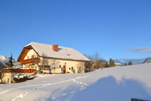 Ferienwohnung Weitgasser durante el invierno