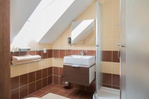 a bathroom with a sink and a mirror at Rekreačný dom SISI in Podhájska