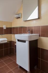 a bathroom with a white sink and a mirror at Rekreačný dom SISI in Podhájska