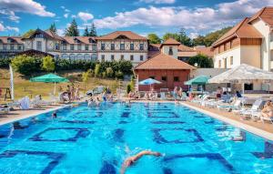 Swimmingpoolen hos eller tæt på Erzsébet Park Hotel