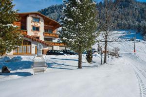 Gästehaus Alpenblick semasa musim sejuk