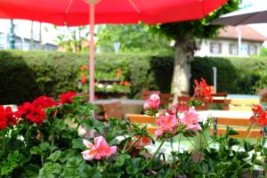 un jardín con flores rojas y una sombrilla roja en Hotel Löwen, en Kirchzarten