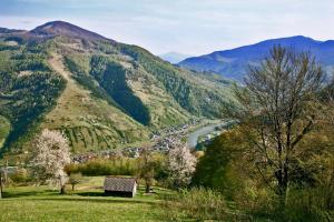 ラーヒフにあるDream Hostel Carpathians Rakhivの川と山の渓谷の景色