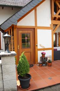 a front door of a house with a potted plant at Haus Winkelchen in Cochem