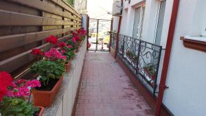 A balcony or terrace at Garsoniere Dinu