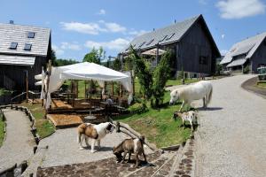 een groep dieren die langs een weg staan bij Ethno Houses Plitvice Lakes Hotel in Plitvica selo