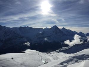 vista su una montagna innevata dal sole di Almis Sunna a Grindelwald